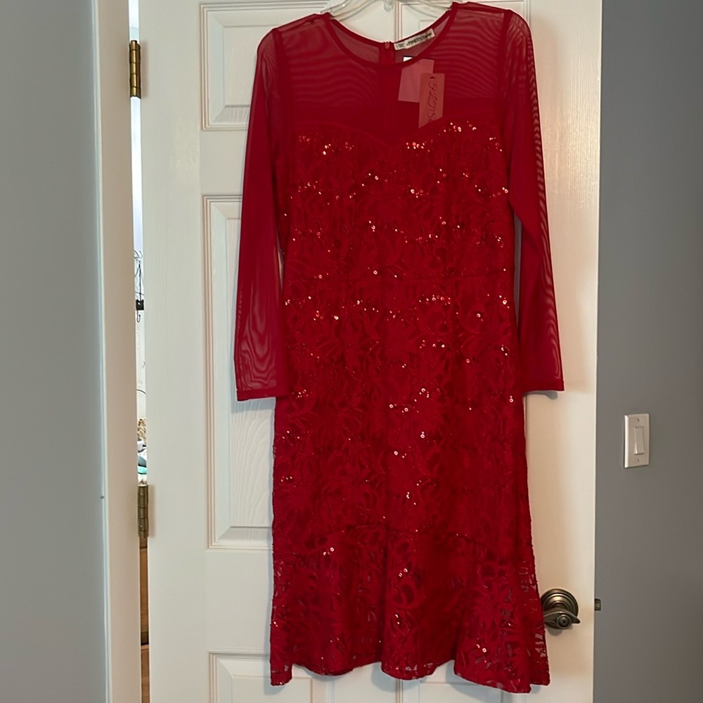Red dress with lace and sequins. Sheer sleeves and top area. NWT. Size L